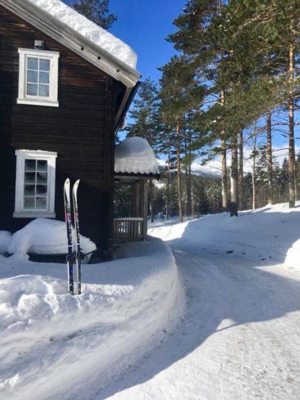 Breiva Gjestegaard Og Glamping Bo (Telemark) Zewnętrze zdjęcie